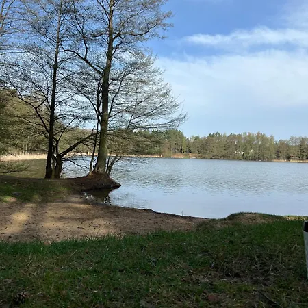 Apartment Apartament Jerzyn *