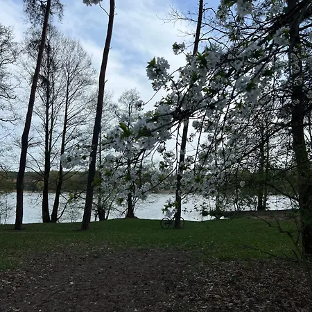 Apartament Jerzyn *
