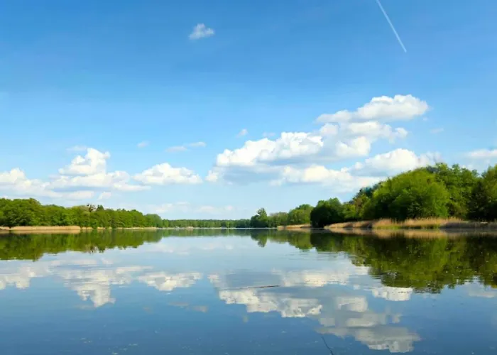 Apartament Jerzyn * Jerzyn