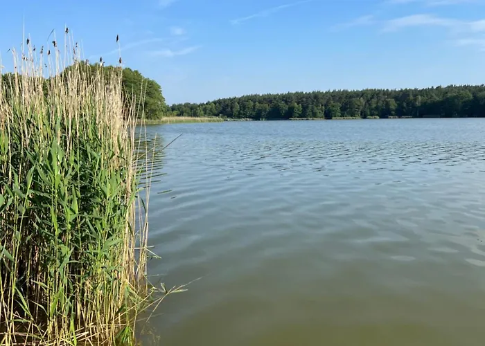 Apartament Jerzyn Apartment *