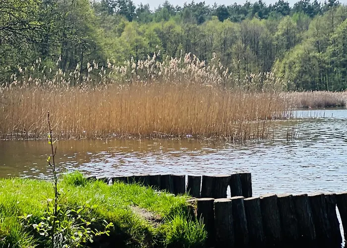 Apartment Apartament Jerzyn