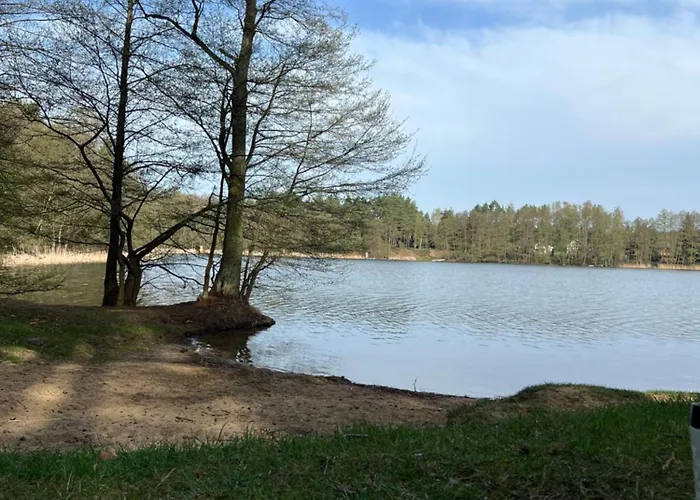 Apartment Apartament Jerzyn *