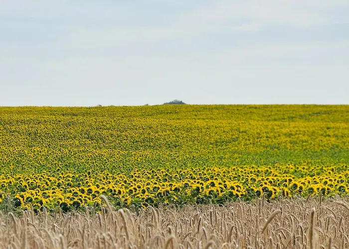 Apartament Jerzyn Apartment *