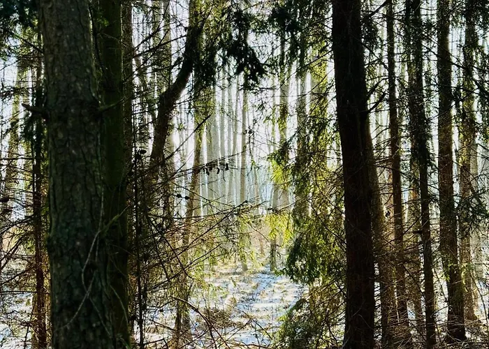 Apartament Jerzyn Jerzyn