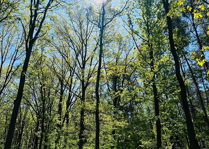 Apartament Jerzyn Apartment