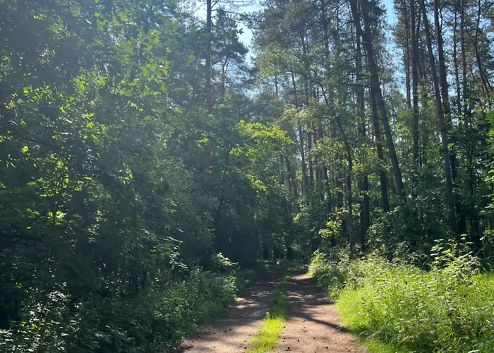 Apartment Apartament Jerzyn *