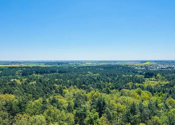 Apartament Jerzyn Apartment Jerzyn