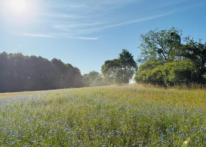 Apartment Apartament Jerzyn Jerzyn