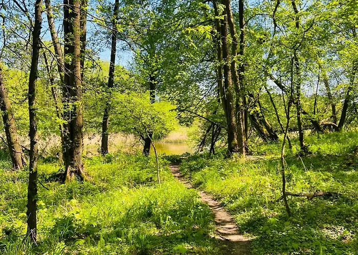 Apartament Jerzyn Apartment