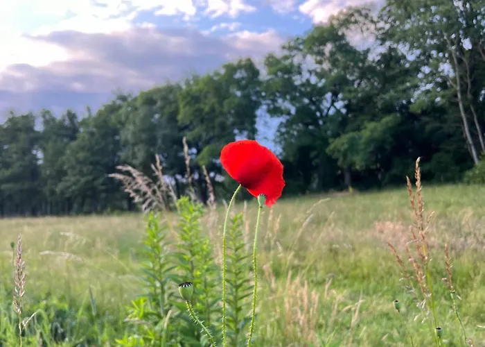 Apartment Apartament Jerzyn *