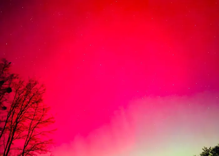 Apartment Apartament Jerzyn Jerzyn