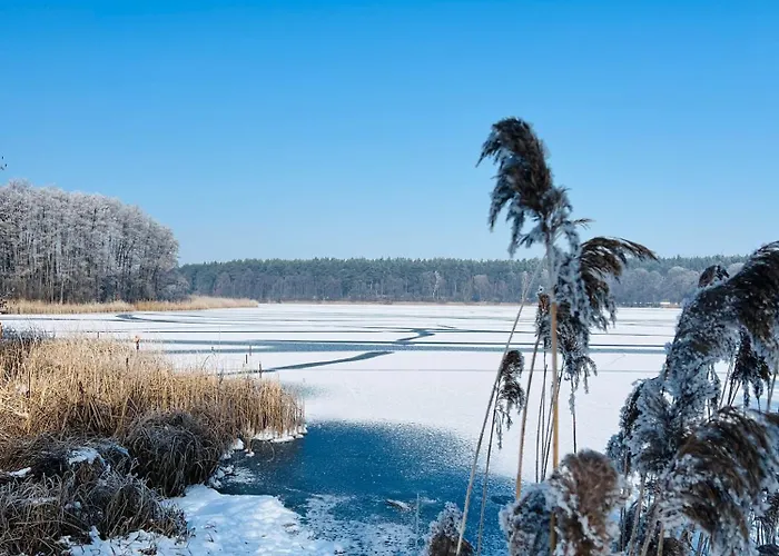 Apartament Jerzyn Apartment