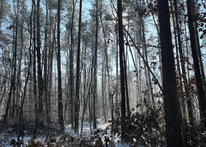 Apartament Jerzyn Apartment *